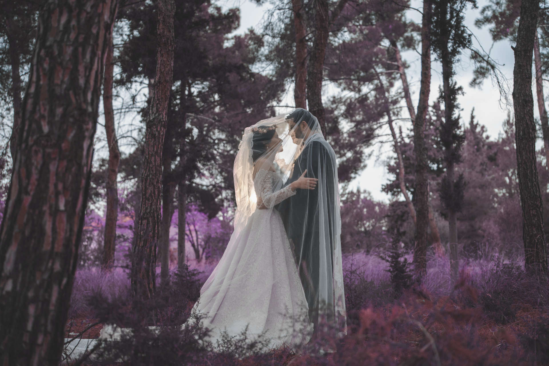 couple photoshooting